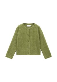 Grön stickad cardigan med rundad halsringning, långa ärmar och framknäppning med en texturerad tygmönster.