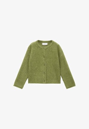 Cardigan verde lavorato a maglia con scollatura rotonda, maniche lunghe e chiusura frontale con bottoni, caratterizzato da un motivo in tessuto testurizzato.