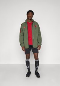 adidas Performance FC BAYERN RAIN JACKET - Klub merchandise - base green