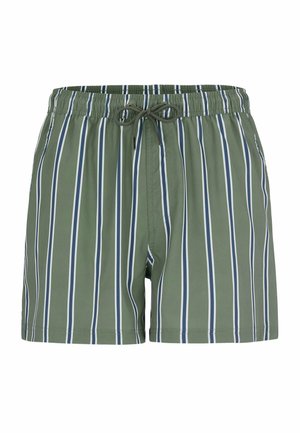 Grüne Badeshorts mit weißen und marineblauen vertikalen Streifen, elastischem Bund und vorne mit Kordelzug.