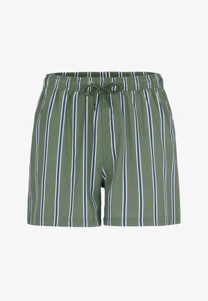 Groene zwemshort met witte en marineblauwe verticale strepen, elastische tailleband en koord met strik aan de voorkant.