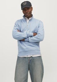 Jack & Jones JORVESTERBRO QUARTER ZIP - Collegepaita - mountain spring