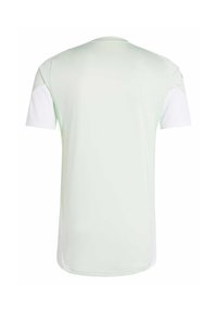 T-shirt verde chiaro a maniche corte con pannelli bianchi sulle spalle. Collo rotondo, texture liscia e vestibilità rilassata. Adatto per un abbigliamento informale.
