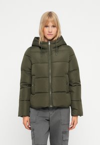 Zelená péřová bunda s kapucí, zipovým uzávěrem a velkými prošívanými sekcemi. Obsahuje přední kapsy a elegantní, strukturovaný povrch.