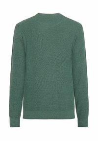 Pulover verde din tricot cu mâneci lungi și tivuri cu nervuri, prezentat din spate pe un fundal alb.