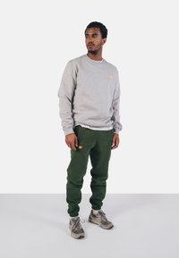 Felpa grigia con logo arancione, abbinata a pantaloni jogger verdi con un piccolo motivo di un elefante arancione. Le sneakers completano l'outfit.