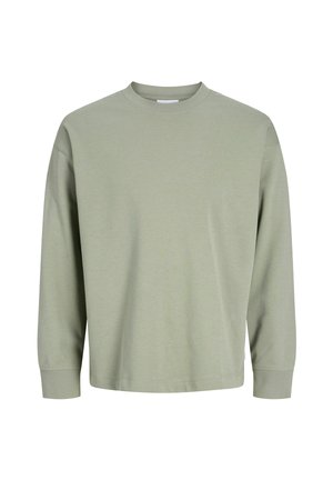 Sweat-shirt à manches longues vert clair, en coton, avec un col rond, des poignets côtelés et une coupe décontractée. Design simple sans motifs.