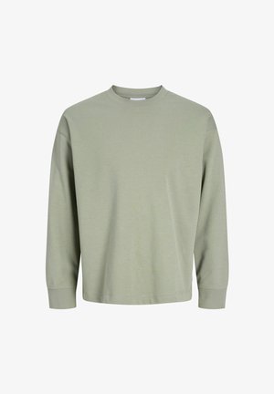 Felpa a maniche lunghe verde chiaro, realizzata in cotone, con scollo a girocollo, polsini a costine e vestibilità rilassata. Design semplice senza motivi.