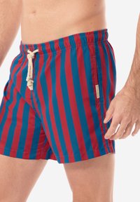 Shorts da bagno a righe rosse e blu con vita regolabile e tasche laterali. Il materiale appare leggero con una texture liscia.