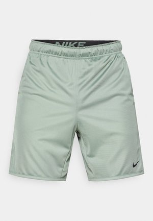 Lysegrønne Nike treningsshorts med elastisk midjebånd, svart innside og liten svart logo på nedre høyre ben.