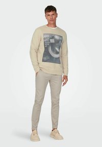 Only & Sons ONSTODD REG PHOTOPRINT CREW NECK - Felpa - smoke gray