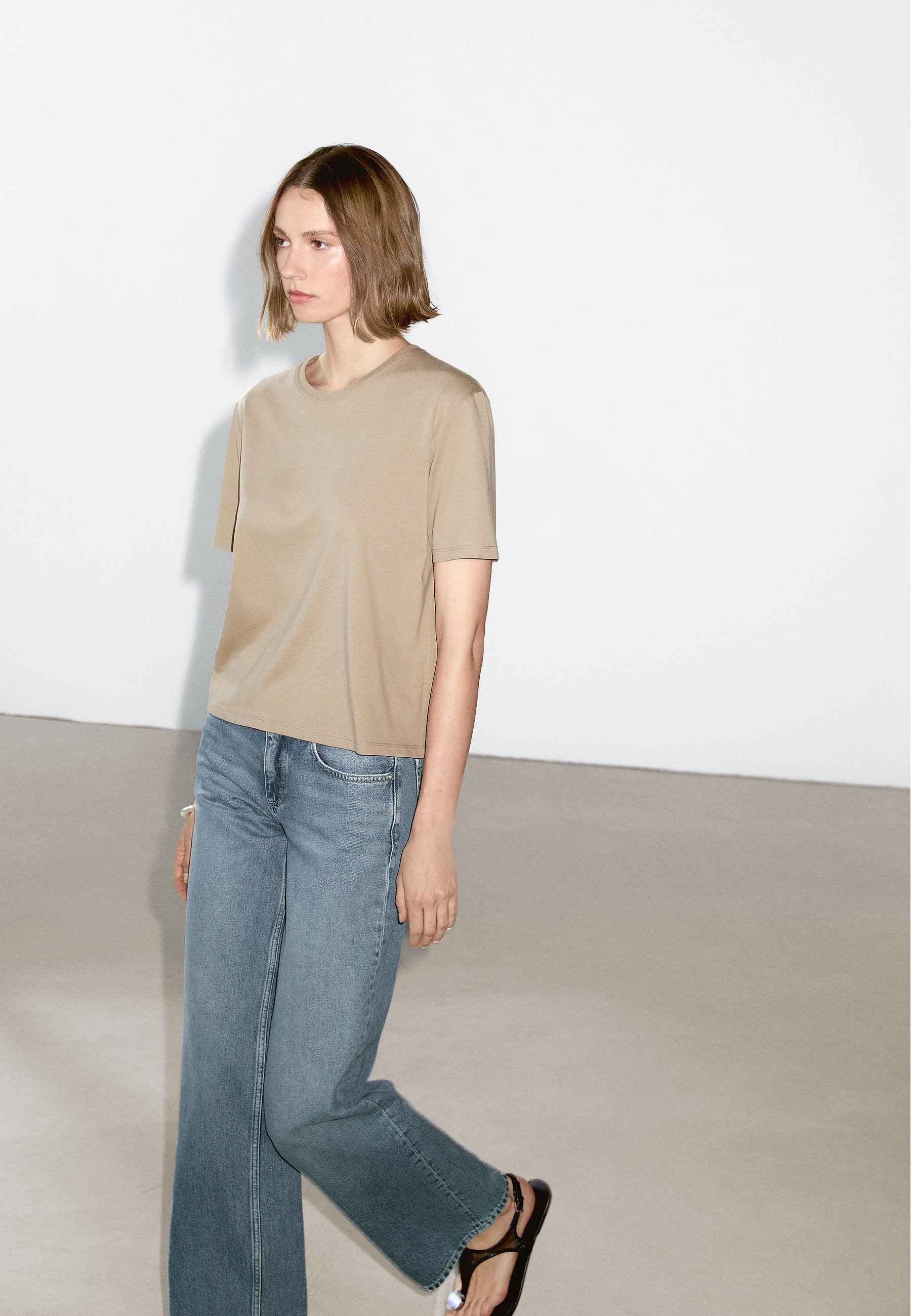 売れ筋商品|||マッシモ ドゥッティ Tシャツ レディース トップス SHORT SLEEVE - Basic T-shirt - khaki Massimo Dutti SHORT SLEEVE - Basic T-shirt - khaki - Zalando