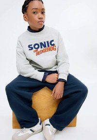 Sivá mikina s logom "SONIC THE HEDGEHOG", tmavomodré nohavice a biele tenisky s modrými pruhmi. Model sedí na drevenom bloku.