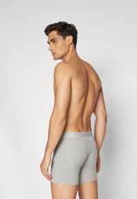 Grå boxershorts med en tettsittende design og en myk linning med merkenavnet. Bokserne er laget av et glatt, elastisk materiale.