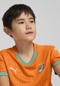 Oranžový fotbalový dres s texturovanými pruhy, zelenými akcenty, v-výstřihem a logem Puma. Obsahuje emblém Pobřeží slonoviny se hvězdami.