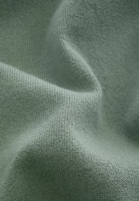 Next REGULAR FIT - Langærmet T-shirt - sage green