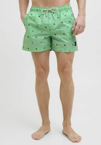Bañadores a rayas verdes con pequeños patrones rojos, cintura elástica con cordón y bolsillos laterales. Fabricados con material ligero.