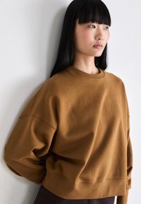 Felpa marrone con vestibilità rilassata, collo a costine e spalle scese. Tessuto morbido, design semplice e maniche di lunghezza media.