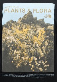 Μαύρο μπλουζάκι με γραφικό του φαραγγιού Yosemite με βουνά σε χρυσό και γκρι, περιτριγυρισμένο από λευκά λουλούδια. Το κείμενο αναφέρει «Φυτά & Χλωρίδα».