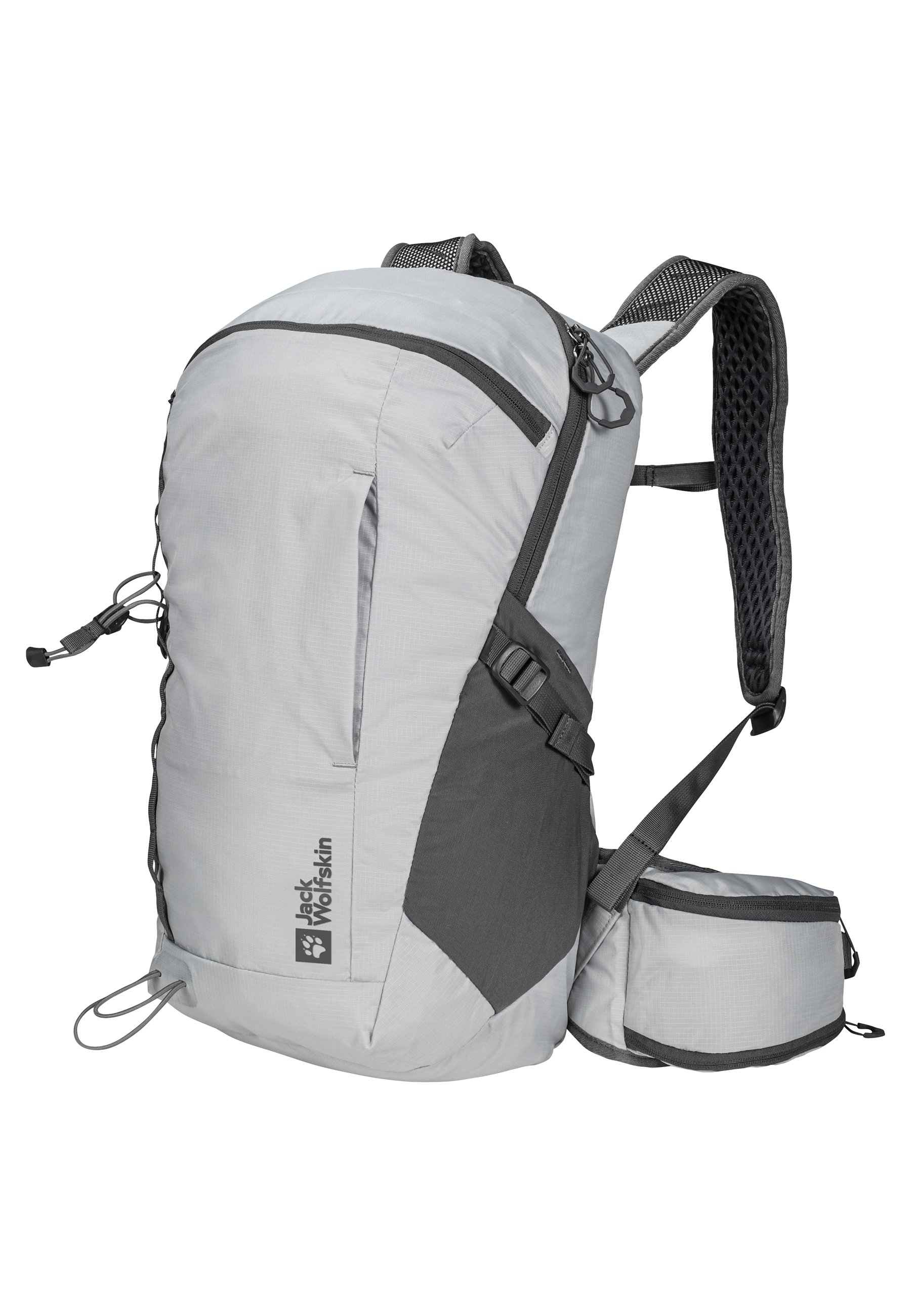 Jack Wolfskin CYROX SHAPE Zaino da trekking rainstorm/grigio