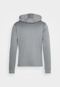 Hoodie gris avec une texture lisse, des manches longues et une coupe décontractée. Équipé d'une capuche avec cordon de serrage et de poignets côtelés. Aucun motif ni logo visible.