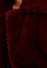 Primer plano de una persona que lleva un abrigo de piel de terciopelo de color rojo oscuro con un gran collar, mostrando la textura y suavidad de la tela.