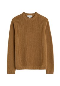 Brauner Strickpullover mit strukturiertem Körper, gerippten Bündchen und Saum sowie einem klassischen Rundhalsausschnitt mit subtilen Details an den Seiten.