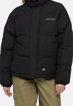 Person wearing a black quilted Dickies jacket and khaki cargo pants, shown from shoulders to hips against a plain background.