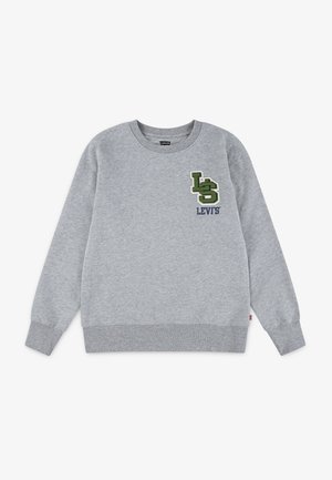 Grå hettegenser laget av bomullsblanding. Har rund hals, ribbestrikkede mansjetter og nederkant, med en grønn og hvit brodert logo på brystet.
