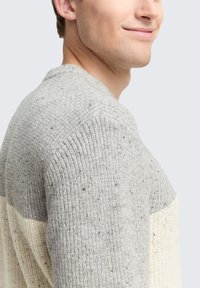 Mann in einem grau-creamfarbenen Strickpullover, seitlich gezeigt mit einem leichten Lächeln und neutralem Hintergrund.