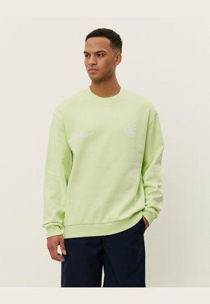 Sudadera verde claro de manga larga, con cuello redondo, puños acanalados y un pequeño logo blanco en el pecho. Textura suave, corte casual.