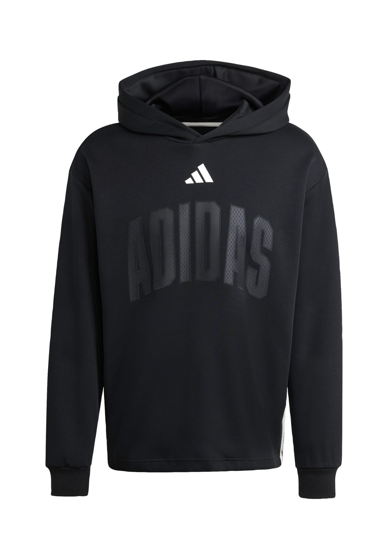 STADIUM GRAPHIC