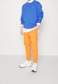 Polo Ralph Lauren Sweatshirt - blue