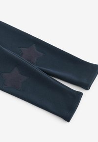 Next COSY LINED - REGULAR FIT - Retuusid - püksid - navy