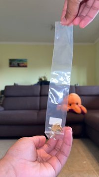 Un sac plastic transparent ținut în mână, conținând un mic obiect de formă de frunză, de culoare aurie. Fundalul prezintă o canapea maro și o jucărie pufoasă.