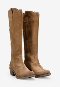 Botas altas de ante marrón hasta la rodilla con punta redonda, tacón apilado y sutiles detalles de costura estilo western a lo largo del eje.