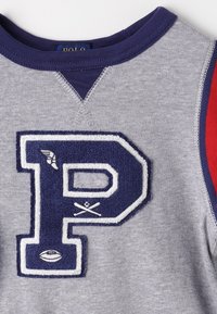 Šedá mikina se námořnickou modrou nášivkou ve tvaru "P", bílým obrysem a vyšitými detaily. Rukávy s purpurovými a červenými akcenty. Měkká textura.