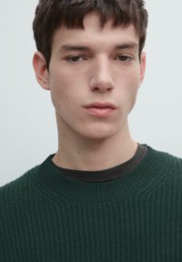 Grüner Strickpullover mit gerippter Textur und rundem Ausschnitt. Wird über einem dunklen Lagenhemd getragen. Einfarbig ohne sichtbare Muster.