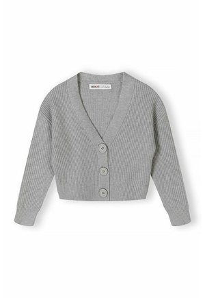 BUTTON STANDARD - Gilet - grey