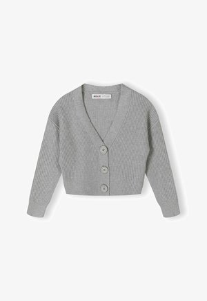 BUTTON STANDARD - Kardigan - grey