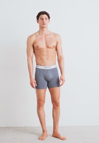 Grijze boxershorts met een strakke pasvorm. Gemaakt van zachte stof, met een witte merkband. Eenvoudig ontwerp zonder zichtbare patronen.