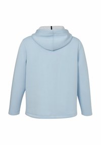 Lichtblauwe hoodie met een zachte textuur, voorzien van een trekkoordkap, lange mouwen en een rechte zoom. De binnenkant heeft een contrasterende kleur.