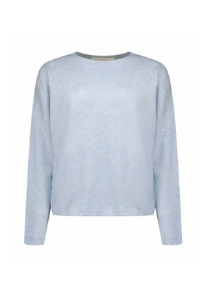 Maglione blu chiaro con maniche lunghe, scollatura tonda e finiture a coste. Tessuto lavorato a maglia con una vestibilità rilassata e senza motivi o dettagli visibili.