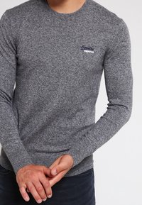 Grijze, sweater met lange mouwen en een ronde hals, met een geweven patroon. Bevat een klein blauw logo aan de bovenste linkerkant.