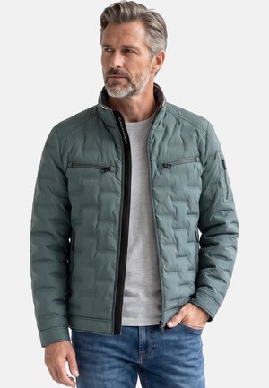 Mand med gråt hår og skæg iført en grøn quiltet jakke over en lysegrå skjorte og blå jeans, der kigger til siden.
