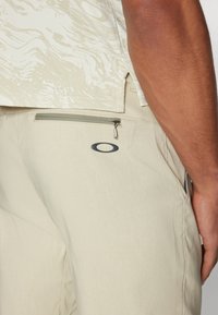 Oakley TERRAIN PANT - Stoffhose - silver sage/white