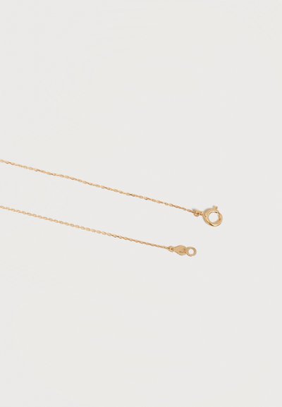 Delicate thin gold chain necklace with spring ring clasp and small engraved tag on a light background.