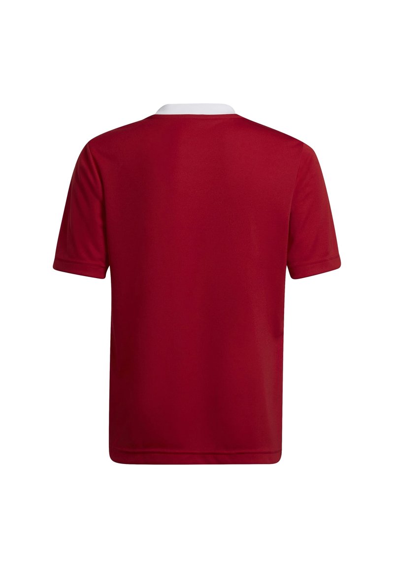 Polo shirt rosso a maniche corte con colletto bianco, realizzato in tessuto morbido. Il retro è semplice, con orlo dritto e dettagli di design minimi.