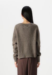 Maglione in maglia marrone, strutturato, con scollo ampio, polsini e orlo a costine. Vestibilità comoda, lunghezza cropped, mostrato da dietro con pantaloni marroni.