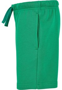 Grønne bomullsshorts med elastisk midje og snor, med sidelommer og ren kant. Glatt tekstur.